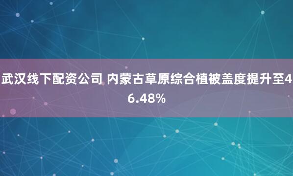 武汉线下配资公司 内蒙古草原综合植被盖度提升至46.48%
